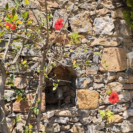 Apartman Fotmar